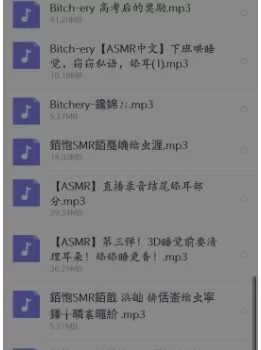 <b style='color: red;'>[已失效] </b>Bitch-ery中文音声合集 33部[百度云